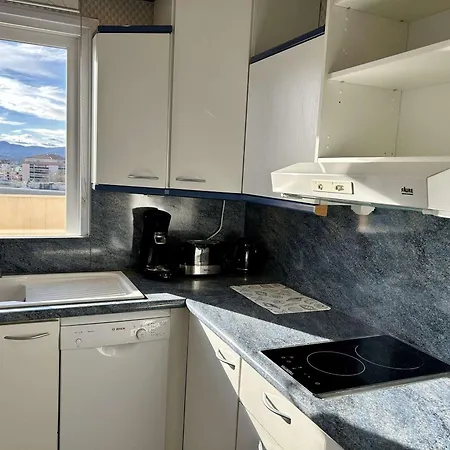 Apartment Avec Piscine Et Terrasse, Proche Plage, Climatise, Garage A - Fr-1-226a-184